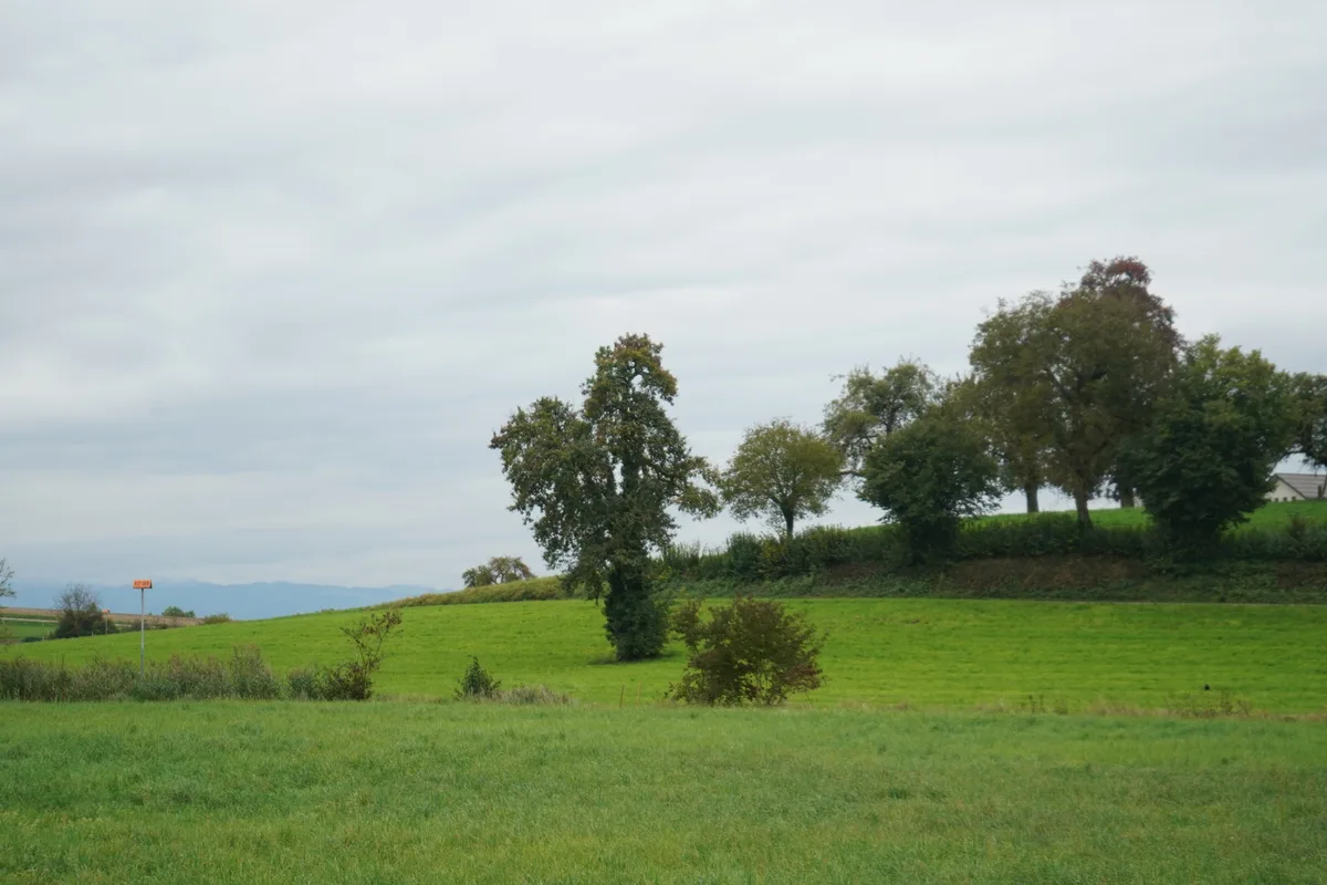 Zivis am Mosten